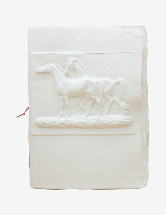 Libro degli ospiti Cavalli 001