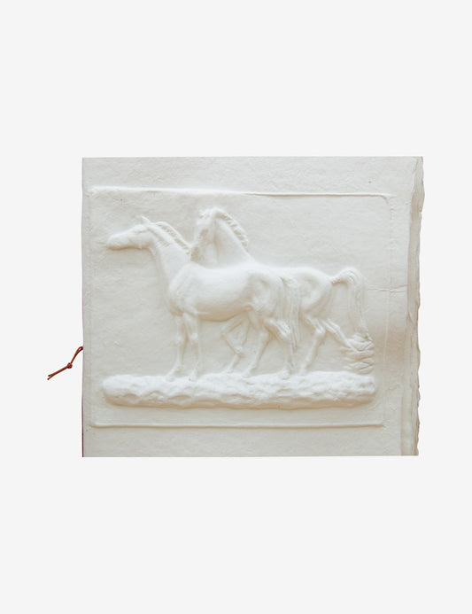 Libro degli ospiti Cavalli 001
