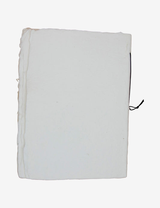 Libro degli ospiti Angeli 004
