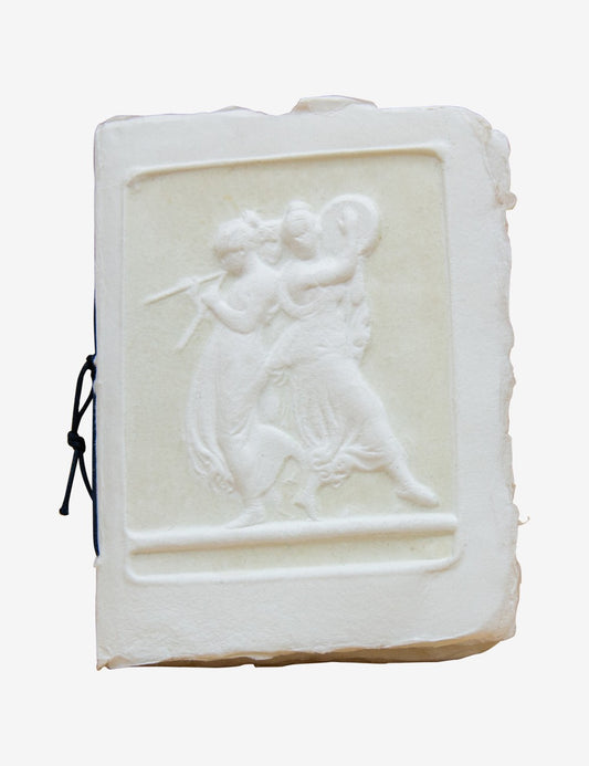 Libro degli ospiti Ballerine