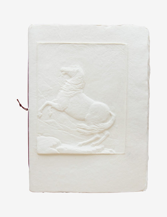 Libro degli ospiti Cavalli 002