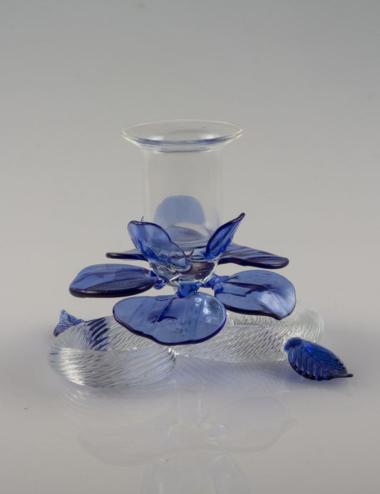 Bugia 010