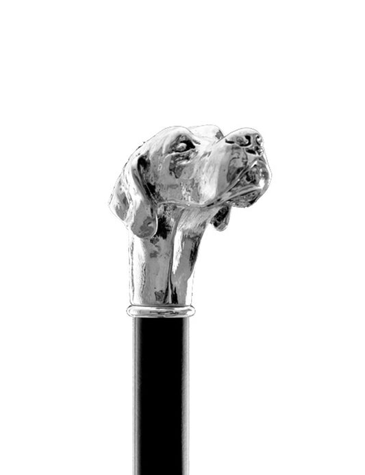 Canne Pointer
