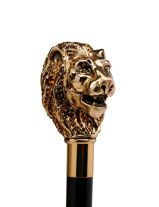 Canne Lion 003