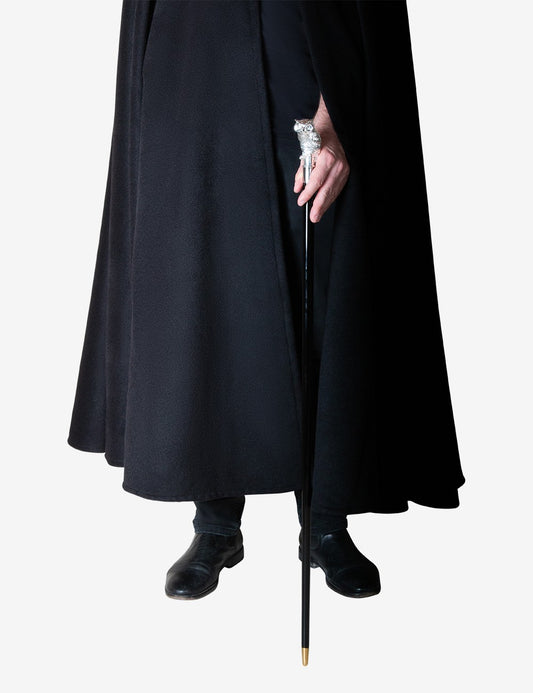 Spazierstock Steinkauz