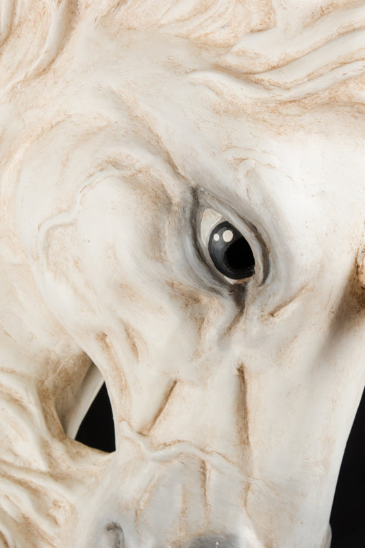 Einhorn