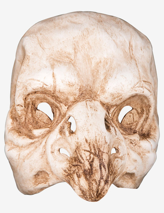 Bird Skull