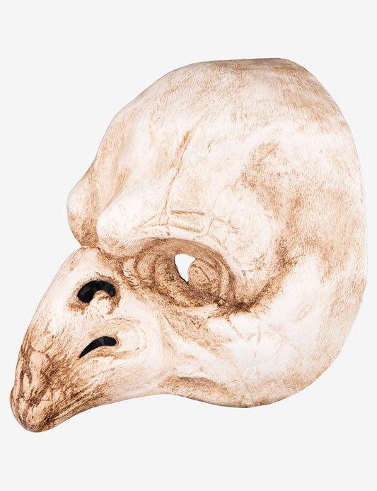 Bird Skull