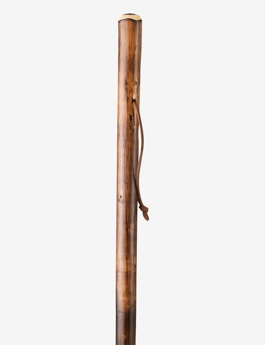 Bastone da passeggio Bussola